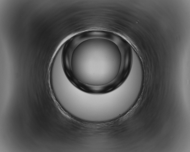 X0000084520854200703021354