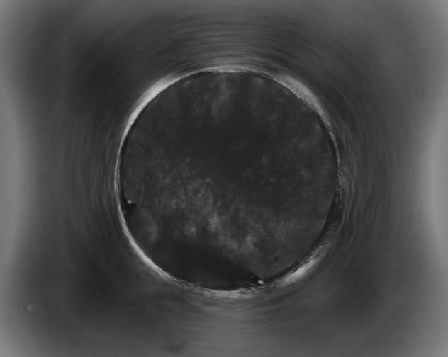 X0000084520855200703021354