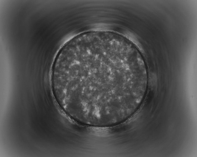 X0000084520856200703021354