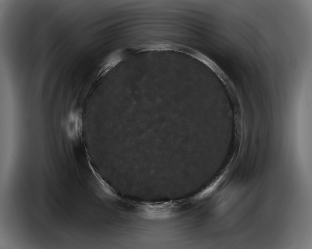 X0000084520857200703021354