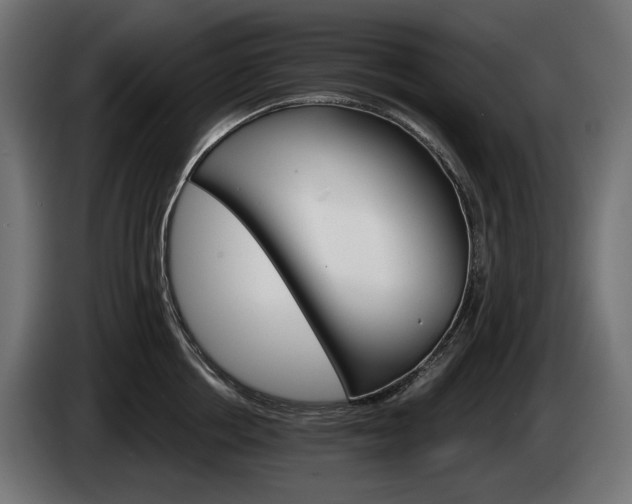 X0000084520858200703021354