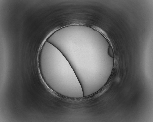 X0000084520859200703021354