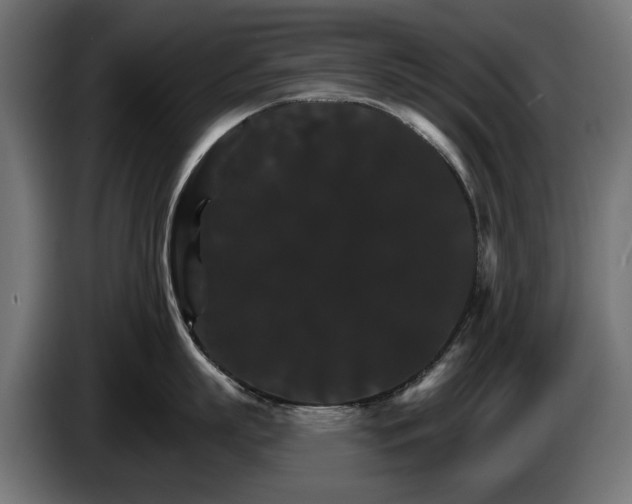 X0000084520863200703021354