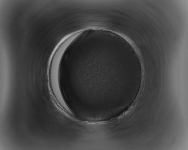 X0000084520864200703021354