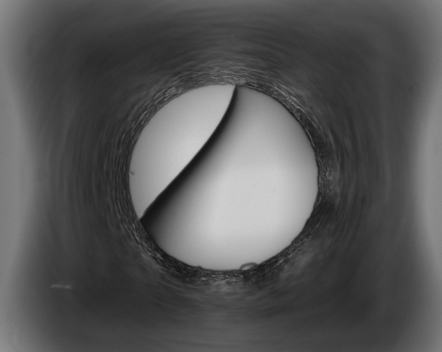 X0000084520865200703021353