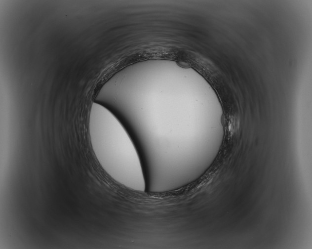 X0000084520867200703021353