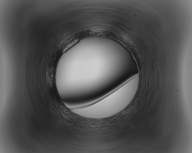 X0000084520868200703021353