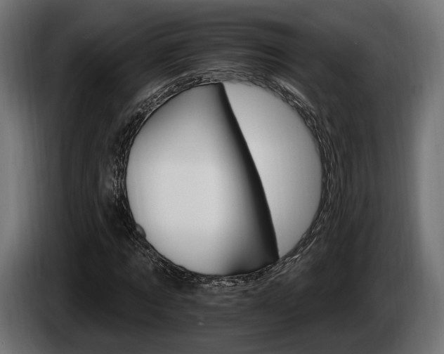 X0000084520869200703021353