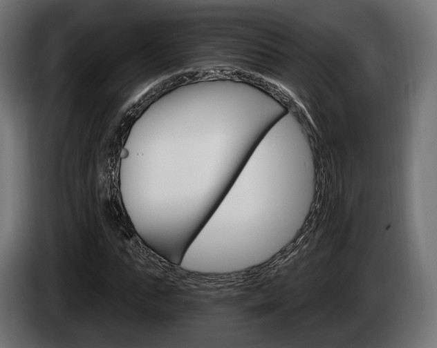 X0000084520871200703021353