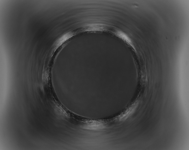 X0000084520874200703021353