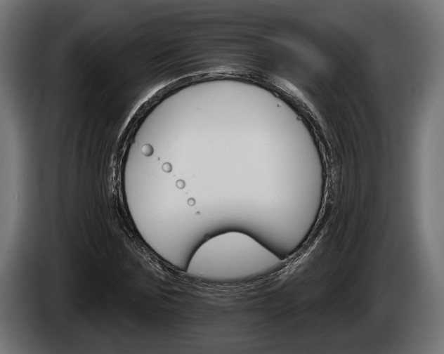 X0000084520875200703021353