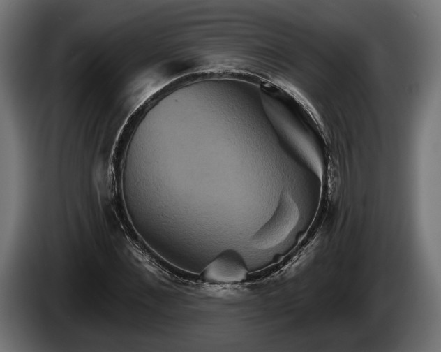 X0000084520876200703021353