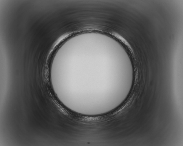 X0000084520878200703021353