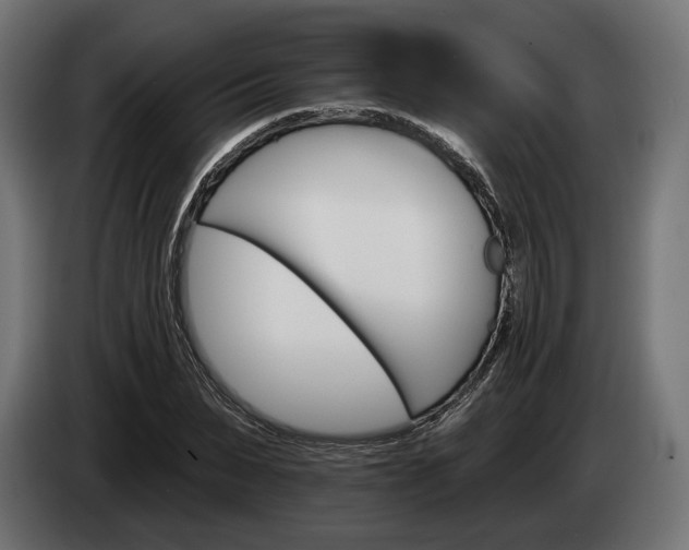 X0000084520879200703021353