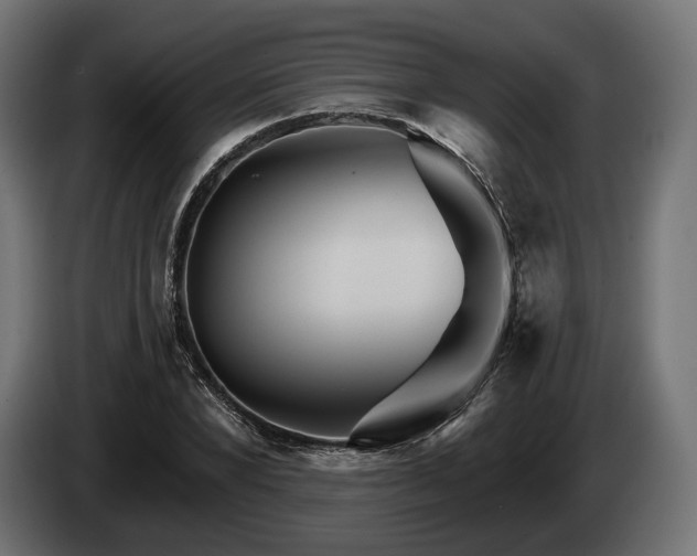 X0000084520880200703021353