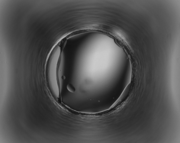 X0000084520884200703021353