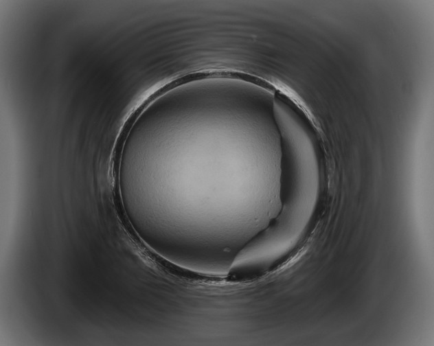 X0000084520885200703021353