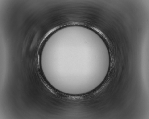 X0000084520886200703021353