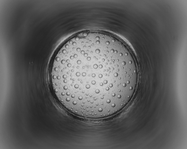 X0000084520887200703021353