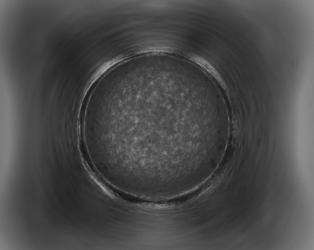 X0000084520890200703021353