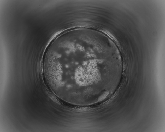 X0000084520891200703021353