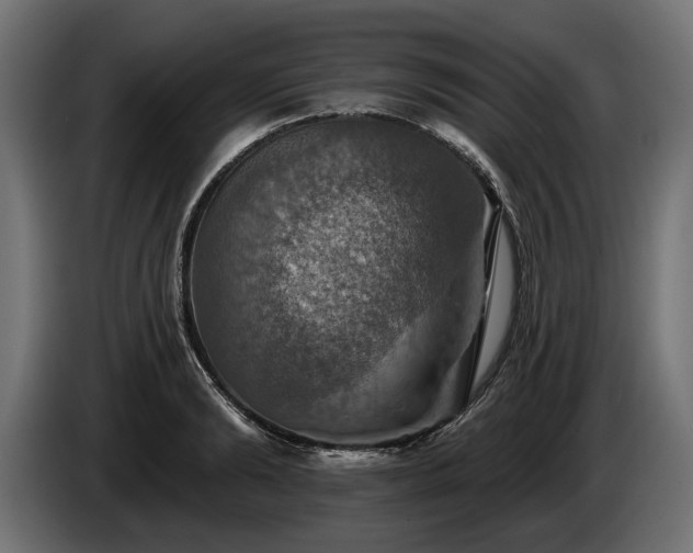 X0000084520894200703021353