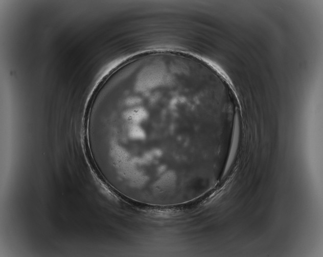 X0000084520895200703021353