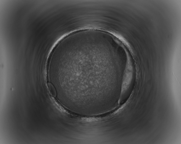 X0000084520896200703021353