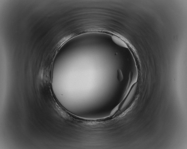 X0000084520897200703021353