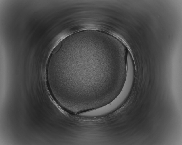 X0000084520898200703021353