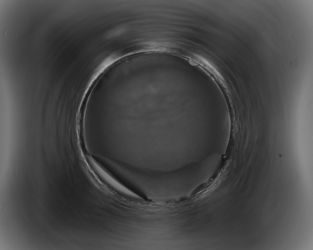 X0000084520899200703021353