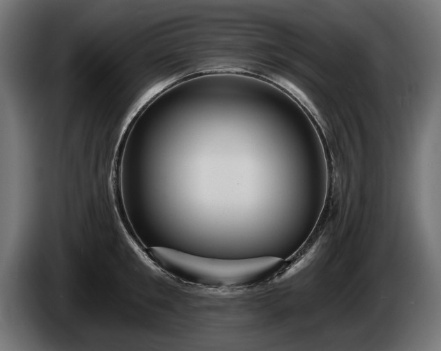 X0000084520901200703021353