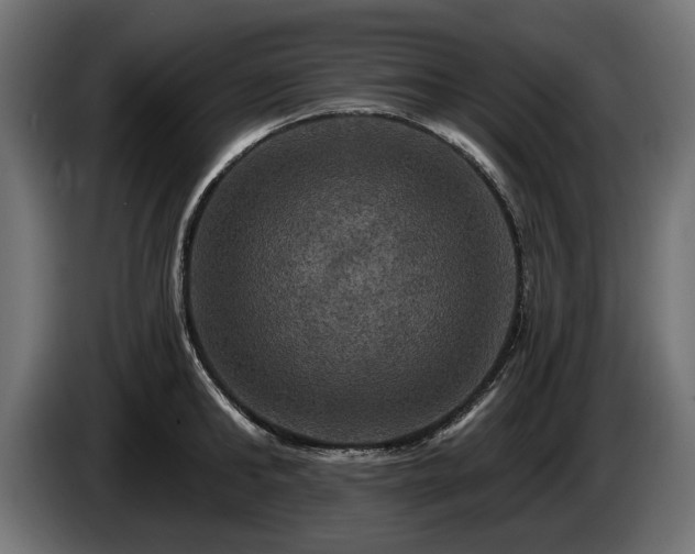 X0000084520902200703021353