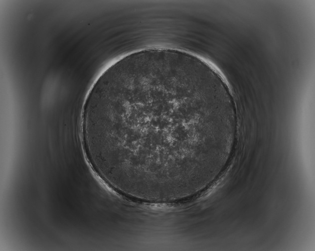 X0000084520903200703021353