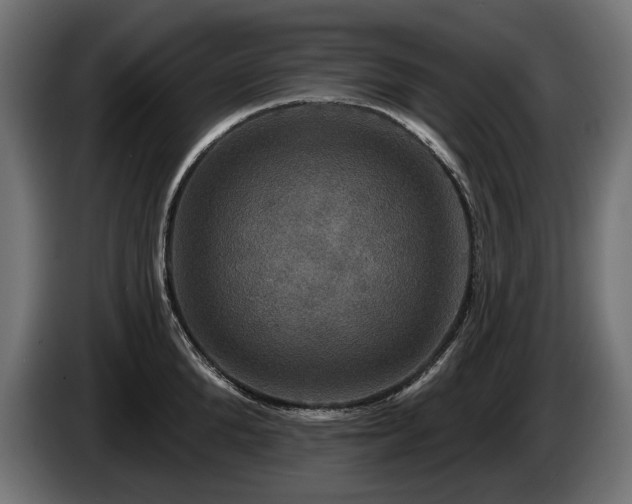 X0000084520904200703021353