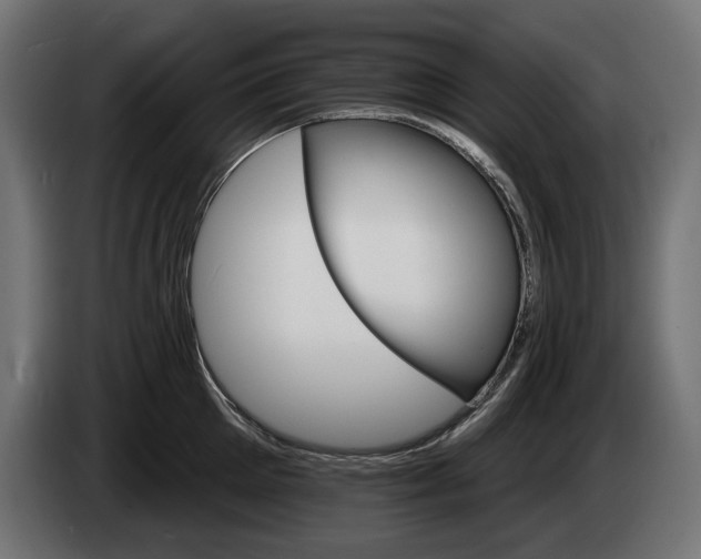 X0000084520905200703021353