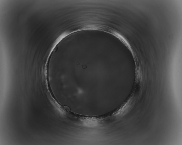 X0000084520907200703021353