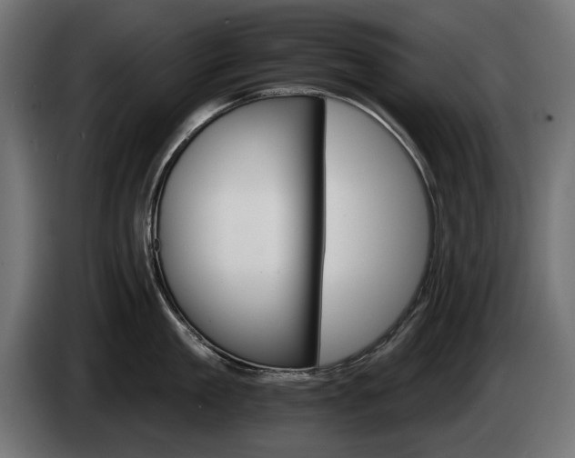 X0000084520909200703021353