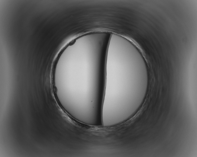 X0000084520910200703021353