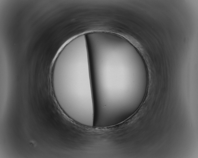 X0000084520912200703021353