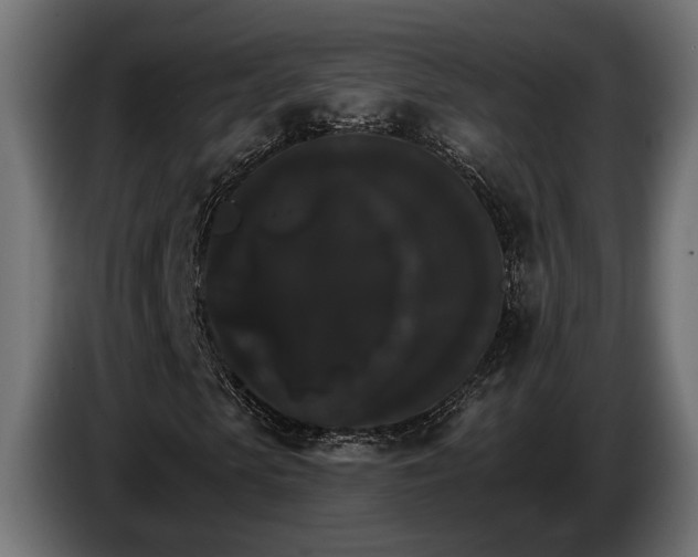 X0000084520913200703021352