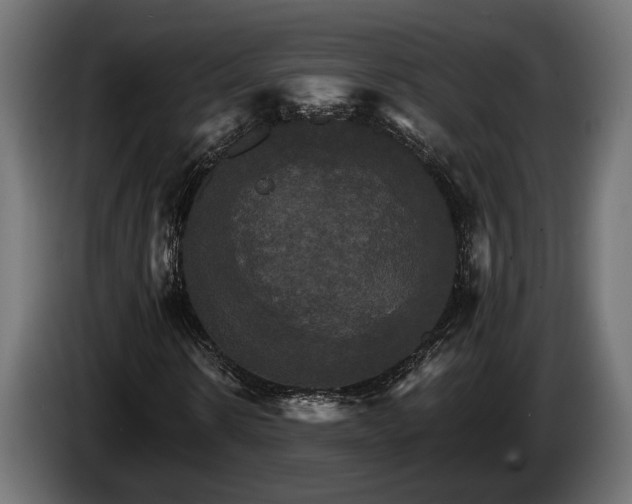 X0000084520914200703021352