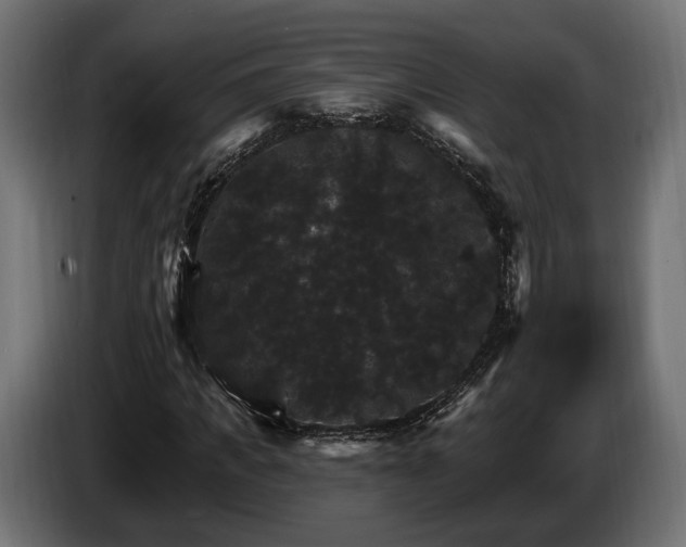 X0000084520917200703021352