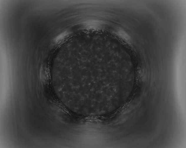 X0000084520918200703021352