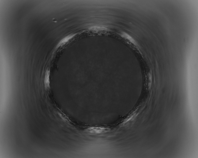 X0000084520919200703021352