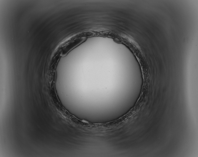 X0000084520920200703021352