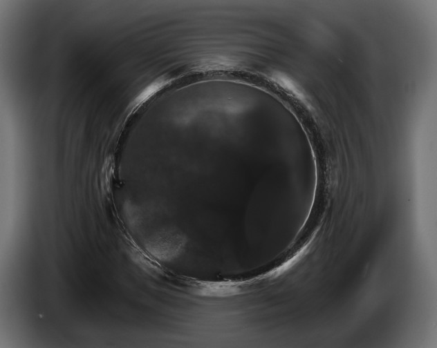 X0000084520921200703021352