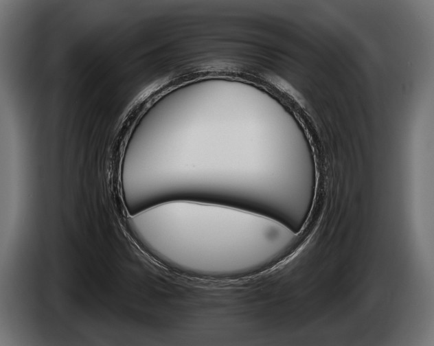 X0000084520922200703021352