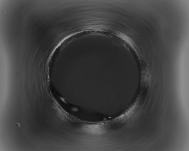 X0000084520923200703021352