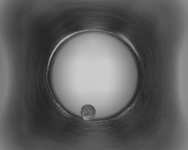 X0000084520924200703021352